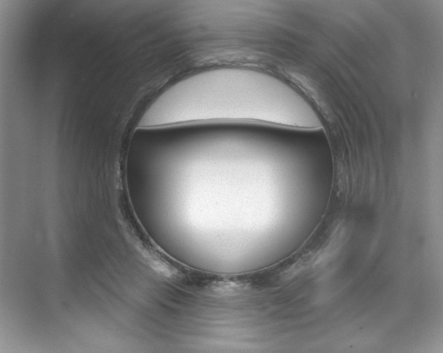 X0000073830453200608101006