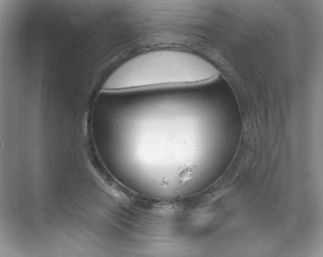 X0000073830454200608101006