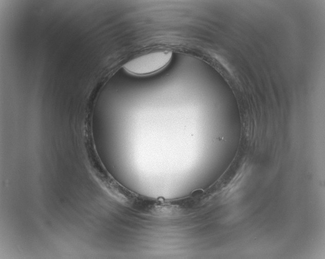 X0000073830455200608101006