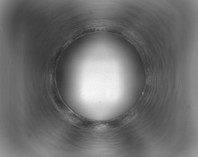 X0000073830456200608101006