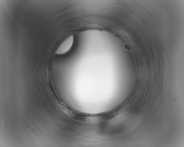 X0000073830457200608101006