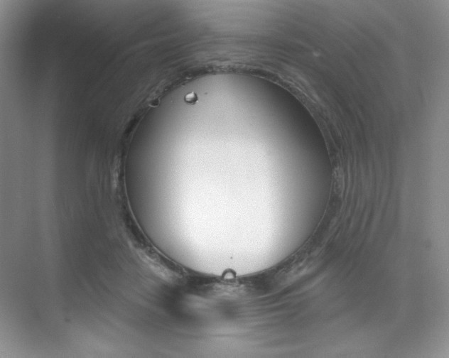 X0000073830458200608101006