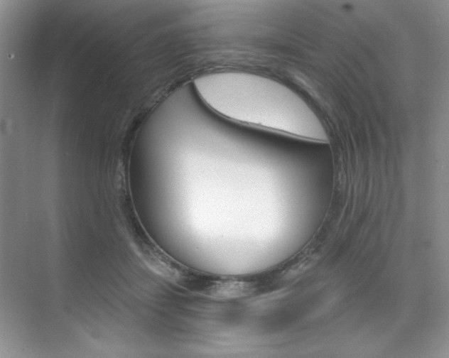 X0000073830459200608101006