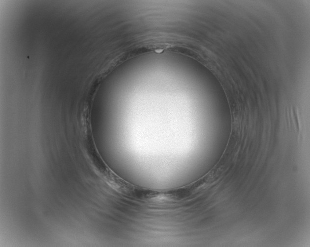 X0000073830460200608101006