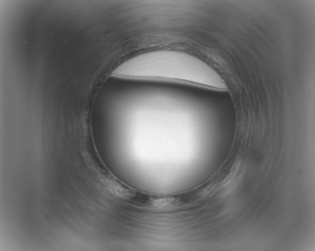 X0000073830461200608101006