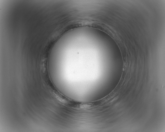 X0000073830462200608101006