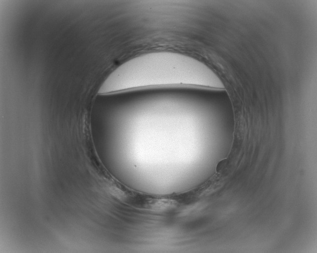 X0000073830463200608101006