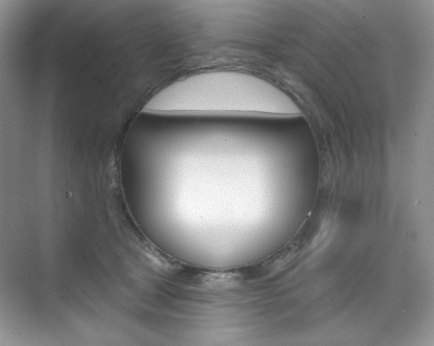 X0000073830465200608101006