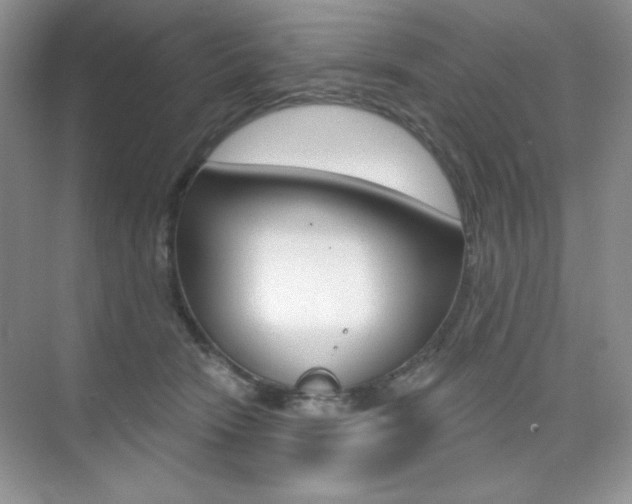 X0000073830466200608101006