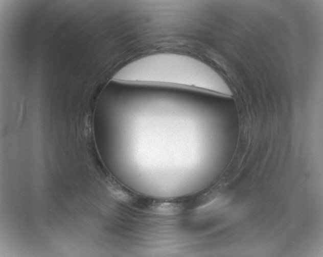 X0000073830467200608101006