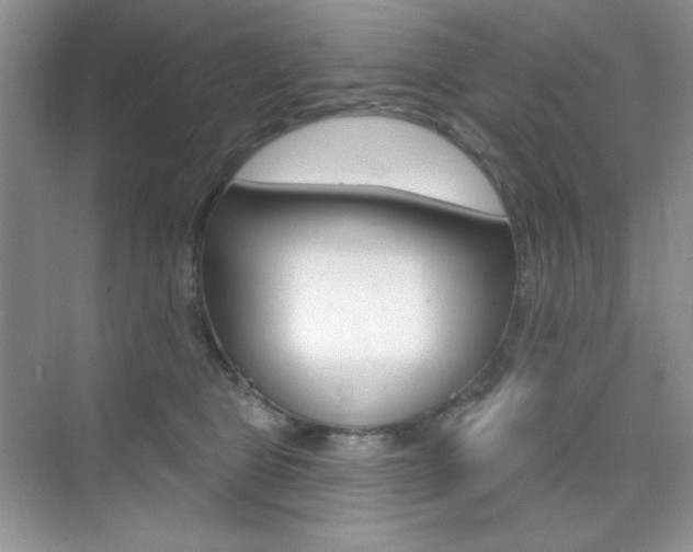 X0000073830469200608101006