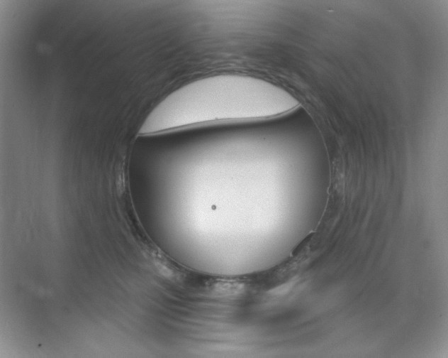 X0000073830471200608101006