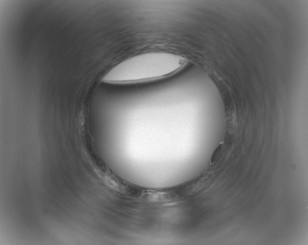 X0000073830472200608101006