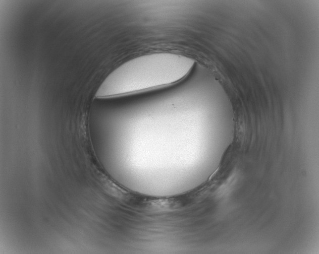 X0000073830473200608101006