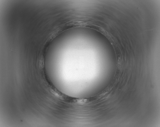 X0000073830474200608101006