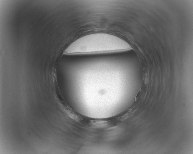 X0000073830476200608101006