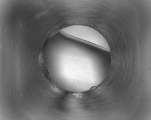 X0000073830478200608101006