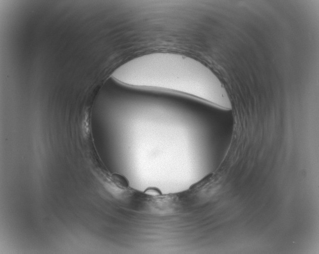 X0000073830479200608101006