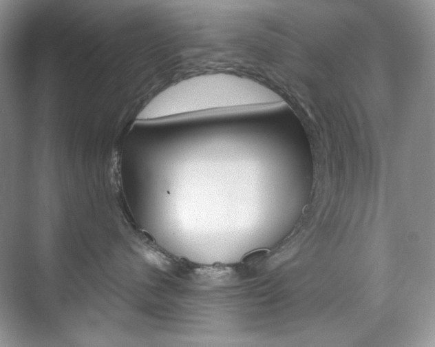 X0000073830480200608101006