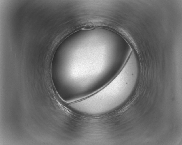 X0000073830481200608101005