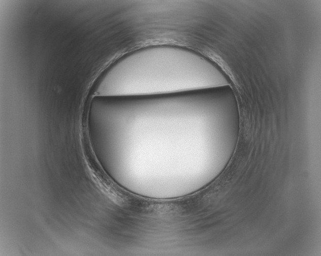 X0000073830482200608101005