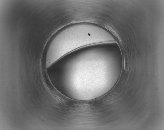 X0000073830483200608101005