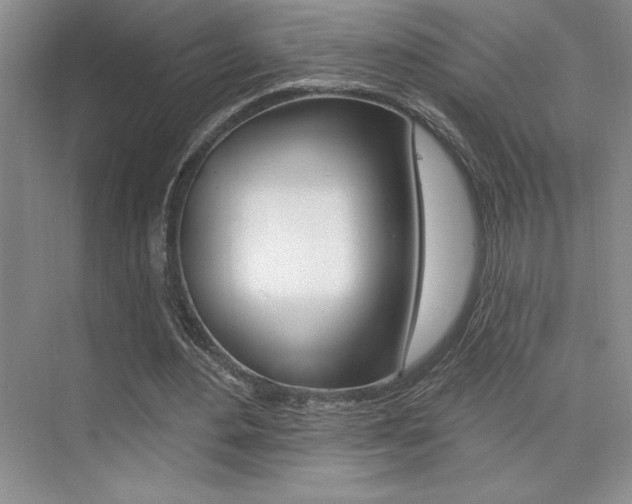 X0000073830484200608101005