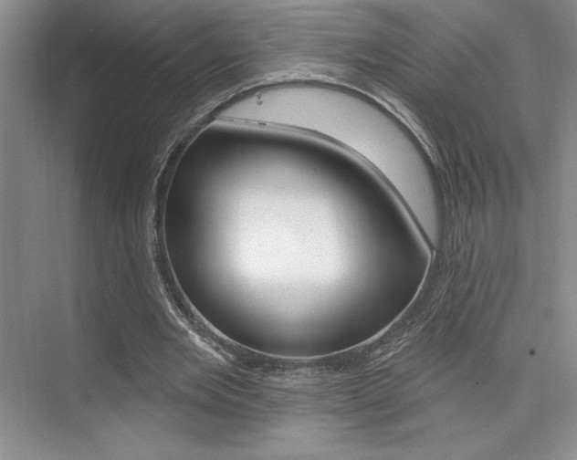 X0000073830485200608101005