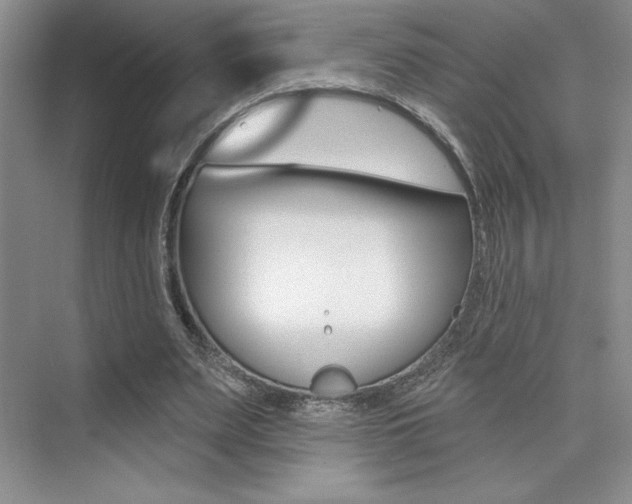 X0000073830487200608101005