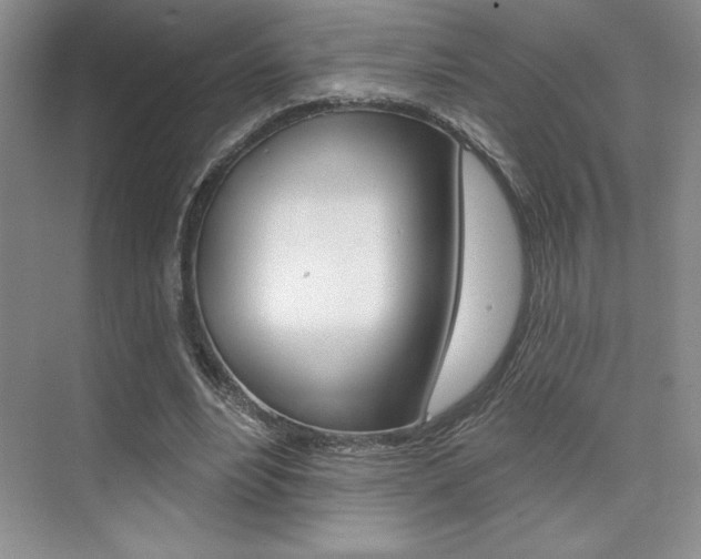 X0000073830488200608101005