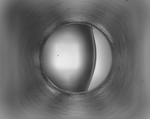 X0000073830489200608101005