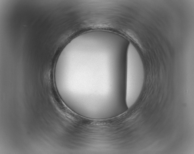 X0000073830491200608101005