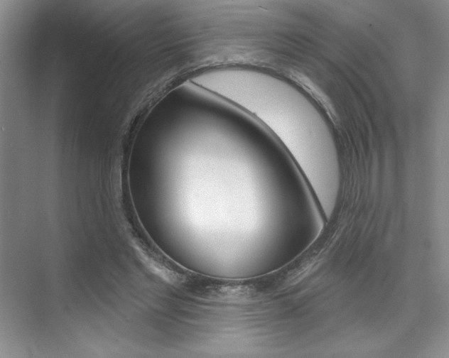 X0000073830493200608101005