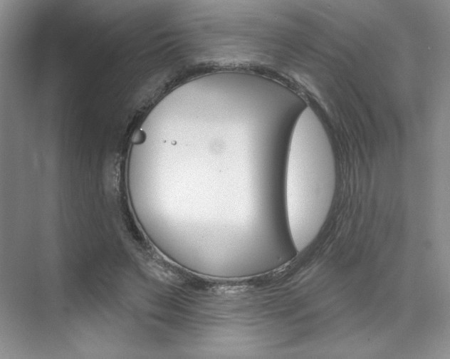 X0000073830495200608101005