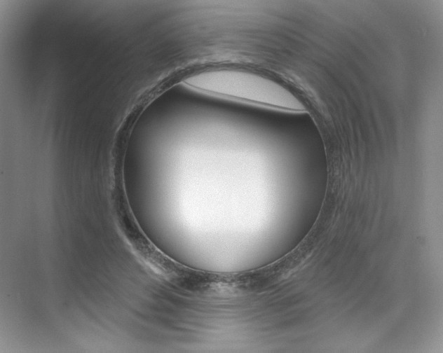 X0000073830496200608101005