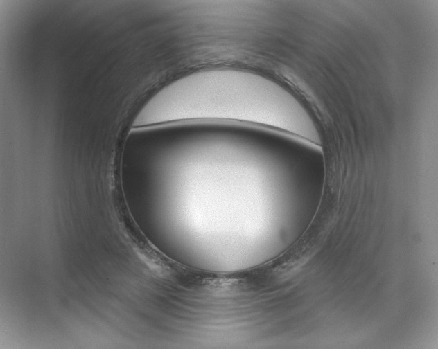 X0000073830497200608101005