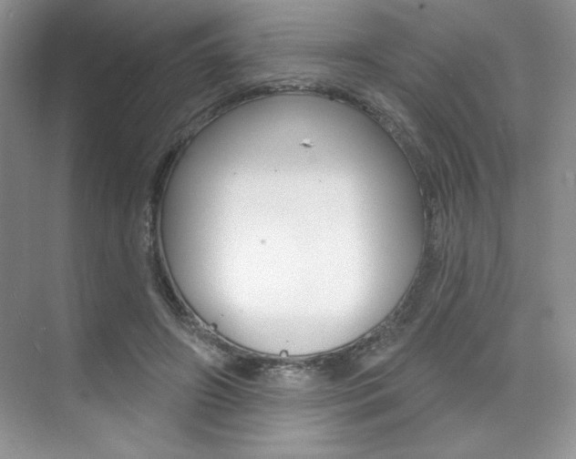 X0000073830498200608101005