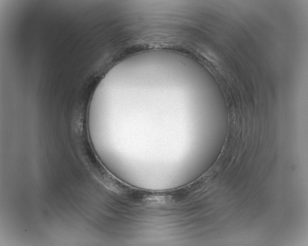 X0000073830499200608101005