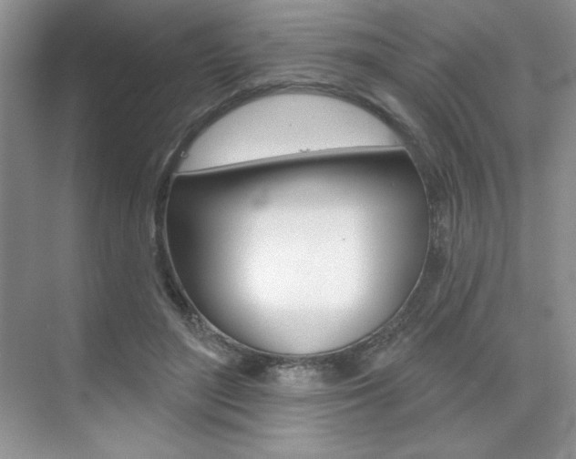 X0000073830500200608101005