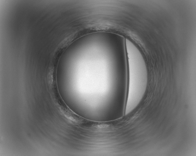 X0000073830501200608101005