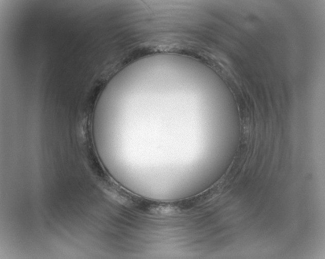 X0000073830503200608101005