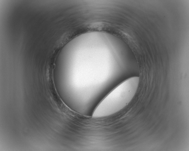 X0000073830504200608101005