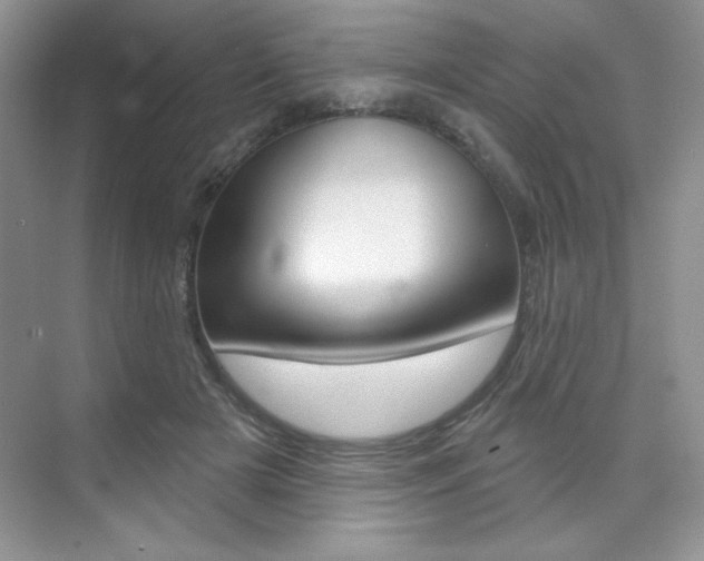 X0000073830505200608101005