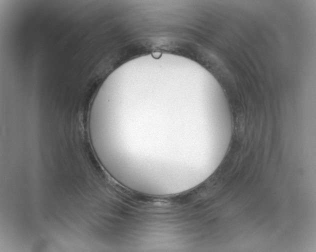 X0000073830506200608101005