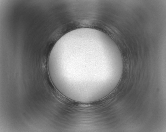 X0000073830507200608101005