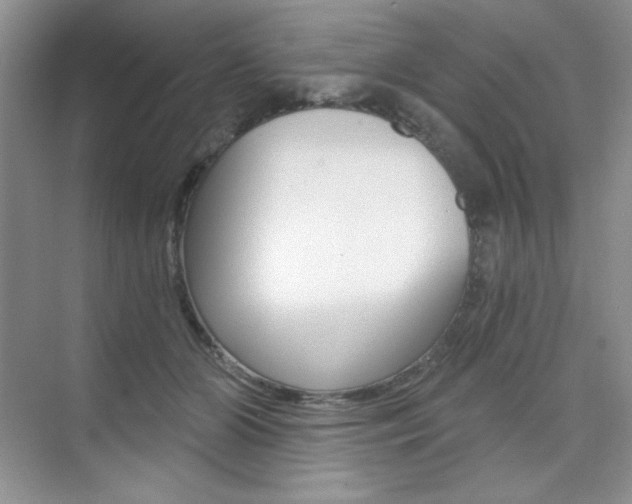 X0000073830510200608101005