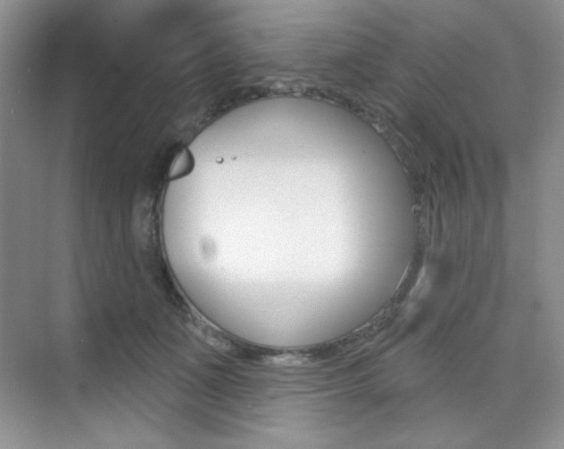 X0000073830511200608101005