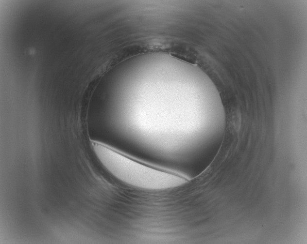 X0000073830512200608101005