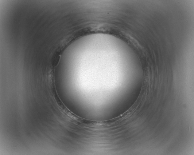 X0000073830513200608101005