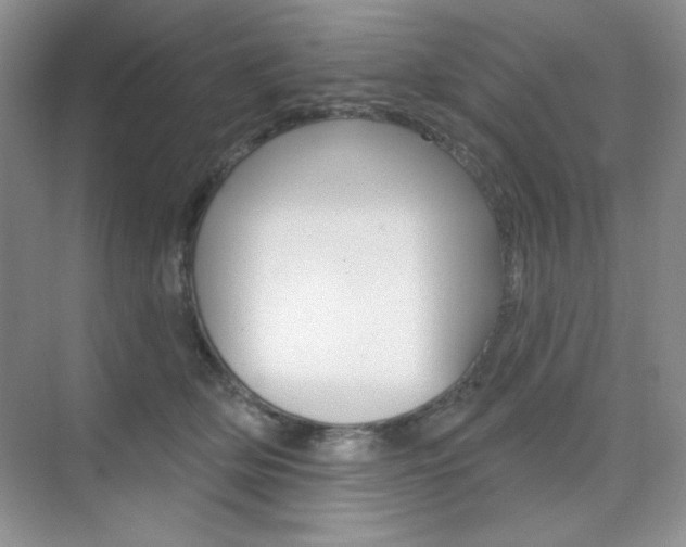 X0000073830514200608101005